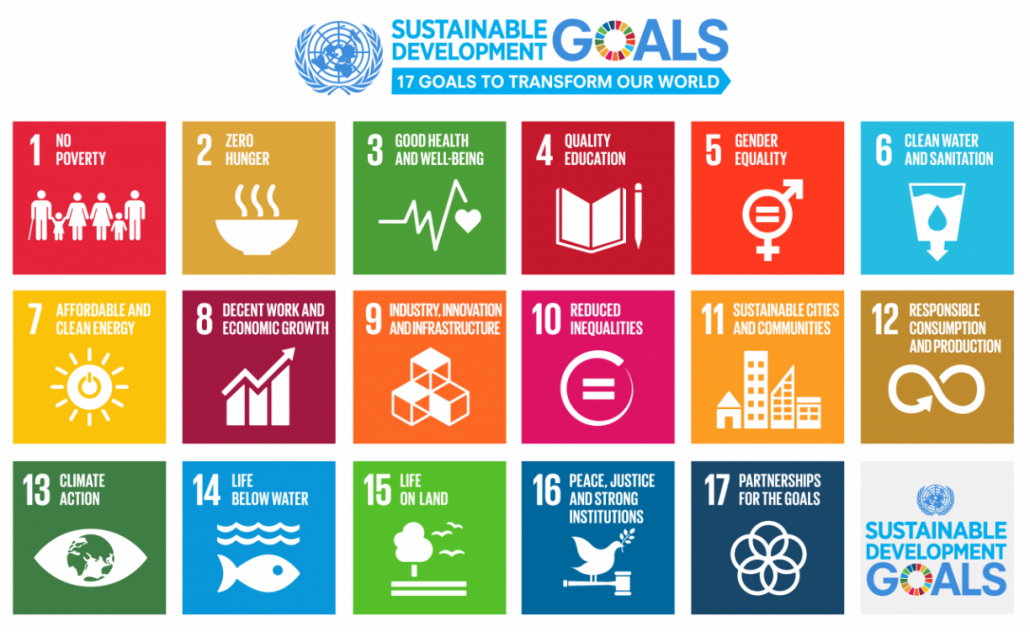 all 17 global goals or SDGs